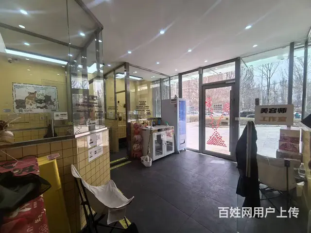 营盘街旺地精装自助宠物美容店出兑 - 图片 2