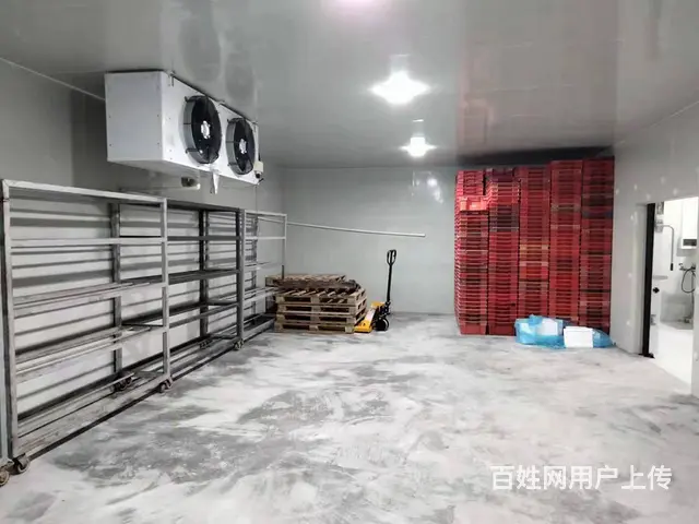 （老板本人）开福区捞刀河马路边冻库/仓库房东直租，可分租 - 图片 3