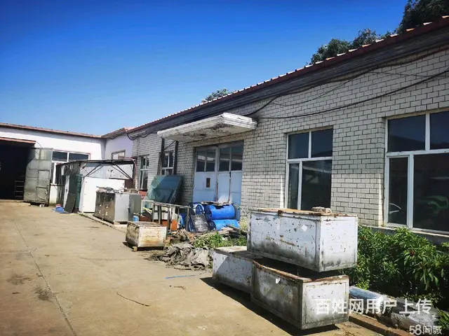 松北区松浦大桥厂房出租 - 图片 5