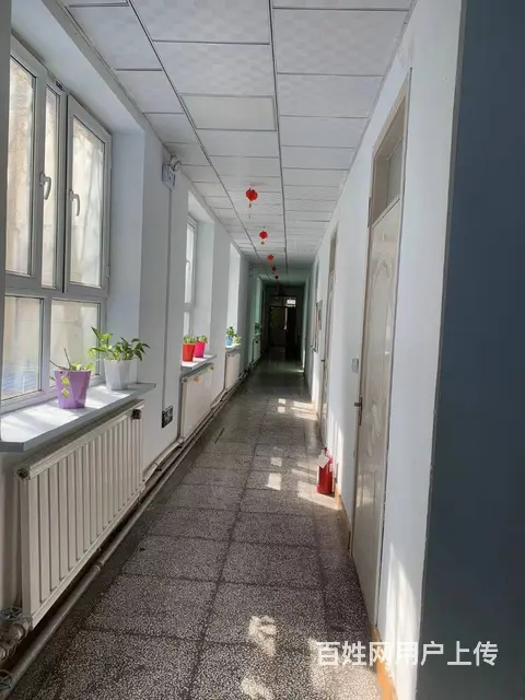 C11789位于北京北路（原市规划局办公楼）空房对外出租 - 图片 2