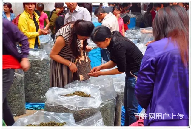 学泡茶在哪里可以学，天晟茶艺培训学校说 - 图片 3