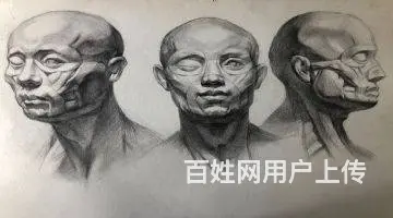 杭州美术培训哪家好？素描石膏室内外手绘插画美术学习 - 图片 1