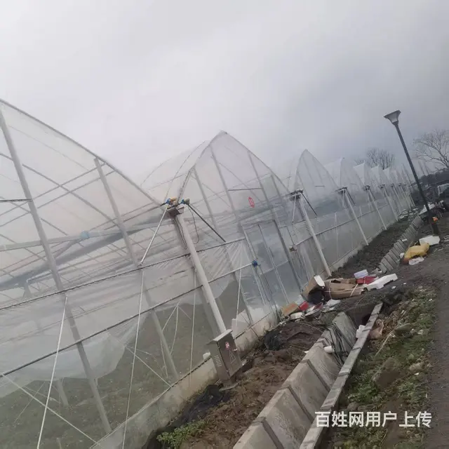 联动大棚出租 - 图片 4