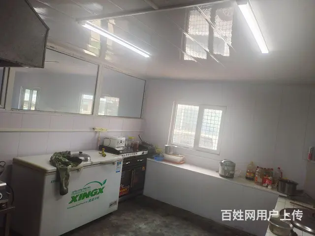 红旗林场主道边小院急卖 - 图片 11