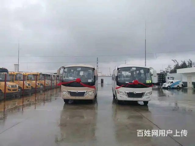 批发全新19座、25座、29座全新客车 - 图片 2