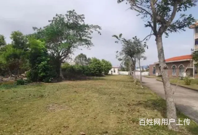 金湾三灶科技园厂房占地46546平，股权转让1.1亿，位置好 - 图片 7