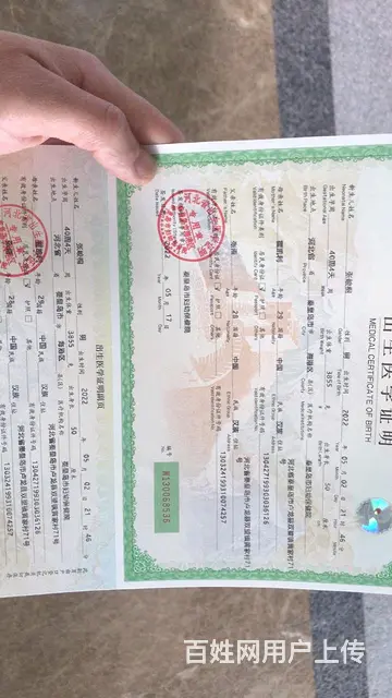 新房新车室内除甲醛，空气净化，提供上门服务，甲醛治 - 图片 8