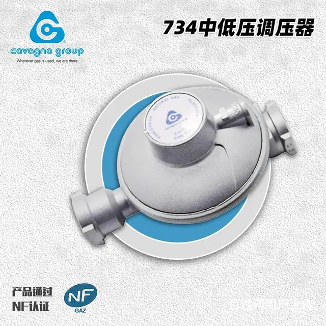 卡瓦尼亚中低压调压器734壁挂炉锌制天然气减压阀 - 图片 2