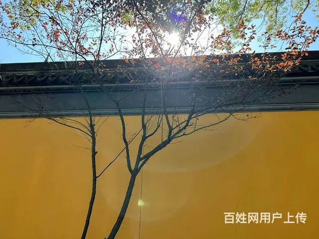 上元教育 技能考证考研培训（浒关校区） - 图片