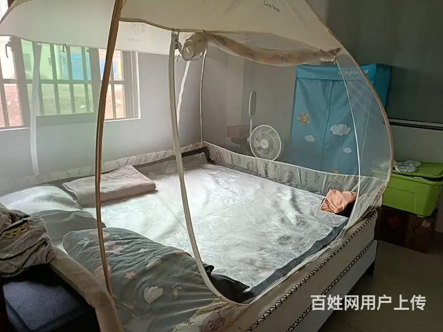 （51旺铺推荐）桂林洋兴洋大道270平铺面房东直租 - 图片 5