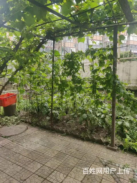 商住两用 - 图片 3