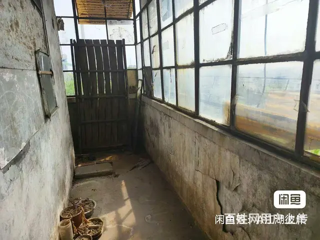 八公山商业街旁，3.8万，两室一厅 - 图片 8