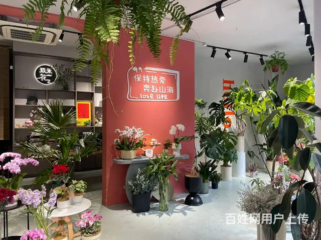 滨江长河十字路口美容美发美甲宠物花店转让 - 图片 3