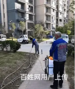 灭鼠公司丶专业提供除蚊蝇公司 - 图片 2