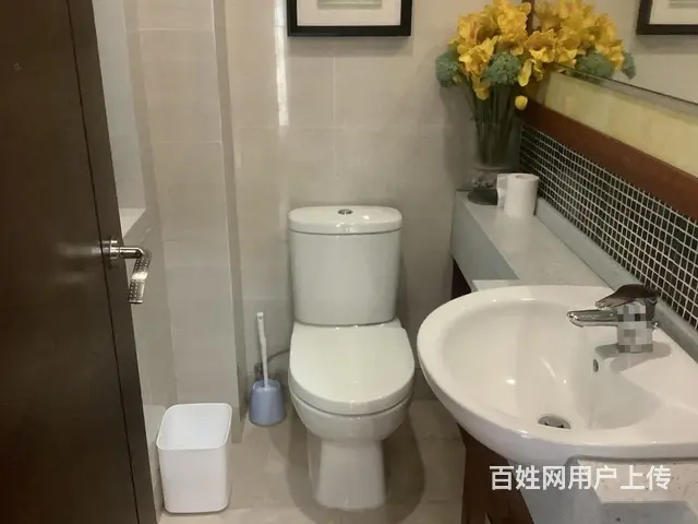 金湾 湖心新城 五洲别墅  有入户花园  私家花园 - 图片 3