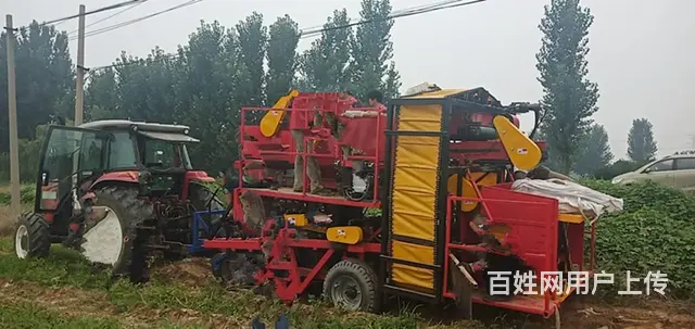 自动墩包土豆红薯联合收获机  挖掘输送除杂装包一体 - 图片 3