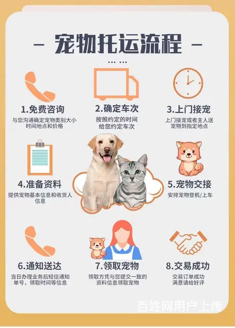 冷水江宠物托运邮寄（承接所有活体运输）猫狗邮寄上门接送 - 图片 1