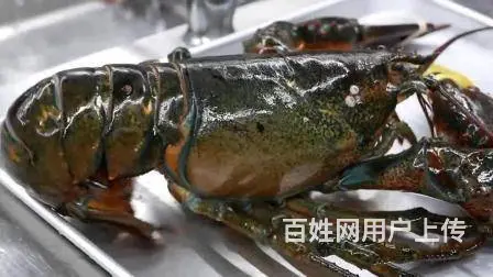 宏鸿集团食材配送-小龙虾 - 图片 2