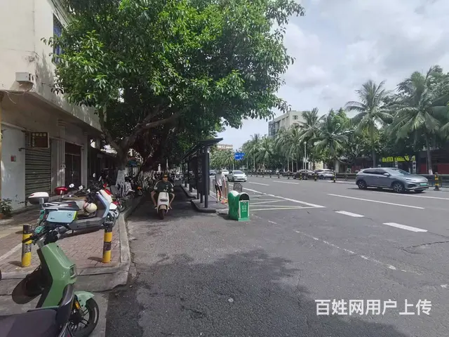 （51旺铺推荐）琼州大道320平铺面招租 - 图片 5