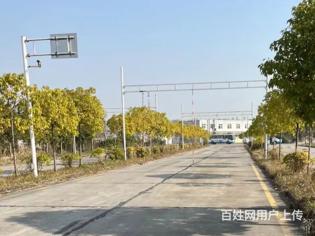 广州白云鹤龙B2增驾A1大客车好的教练有吧 - 图片 2