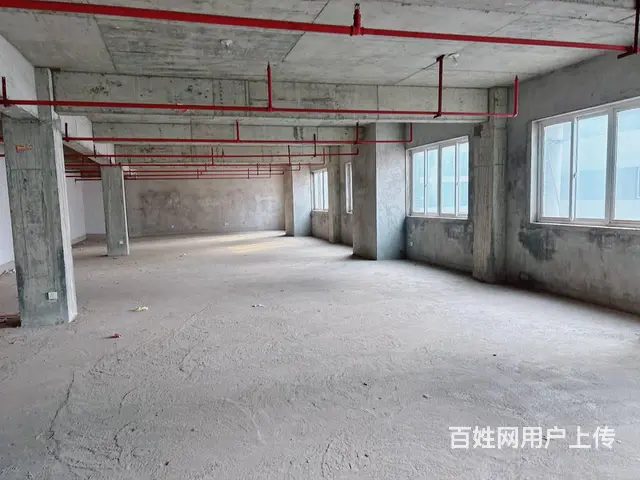 （老板本人）天心区龙盛高科园区标准仓库办公楼优价出租5993 - 图片 11