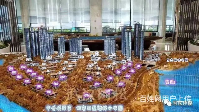 华侨城原岸 高层3房2卫 一线观东湖 无遮挡 南北 - 图片 12