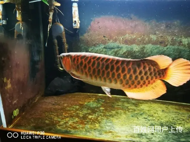 上岸！！ - 图片 5