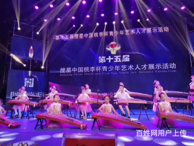 沈阳找专业古筝培训老师哪里好 - 图片 8