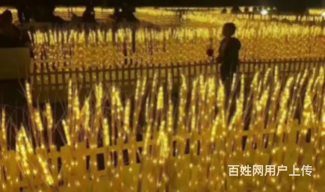 绍兴网红打卡灯光展出租 灯光展厂家 - 图片 4