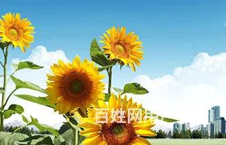 常德，桃源到长沙网约车拼车电话号码 ​ - 图片