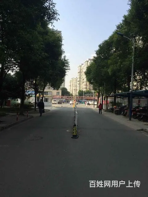 青枫公园宝龙广场 梧桐苑 精装修2房价格包物业拎包 - 图片 6