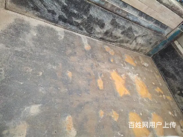 钦机 - 图片 4