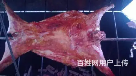 聚枫阁农家院 - 图片 6