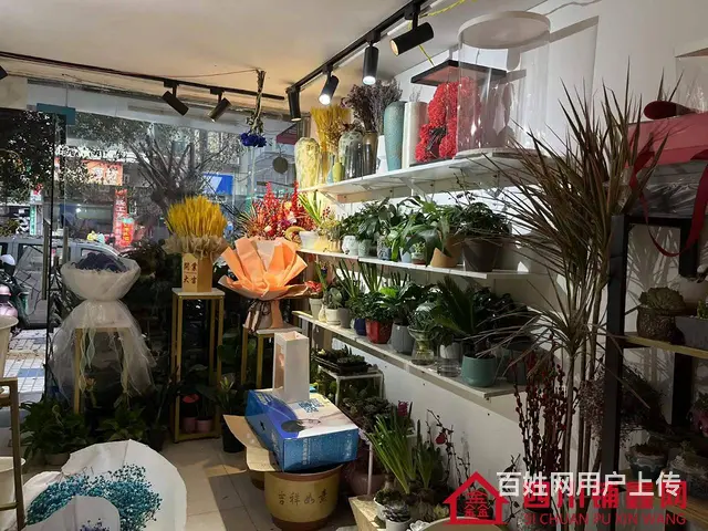 （四川铺鑫网）巴州区丽景天城40㎡鲜花店转让 - 图片 4