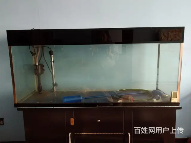 鱼缸 - 图片