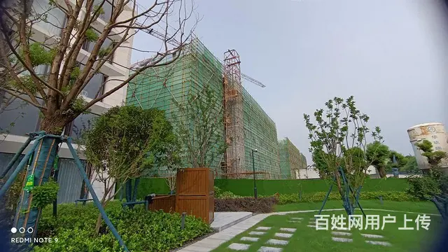 青洋高架旁 金新科创园 适合企业 会所 企业税收优惠政策 - 图片 10