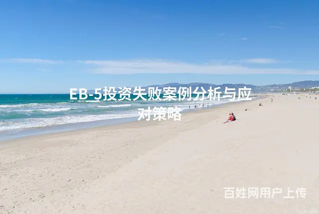 EB-5投资失败案例分析与应对策略 - 图片
