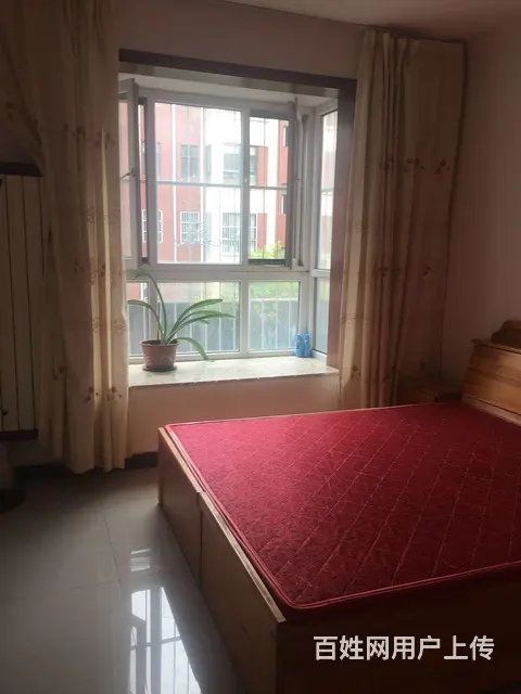 房屋出租长租有优惠 - 图片 5