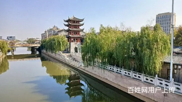 征婚 - 图片