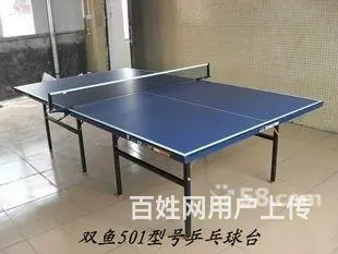 武汉乒乓球台,武汉发球机,红双喜双鱼2013新年特 - 图片 1