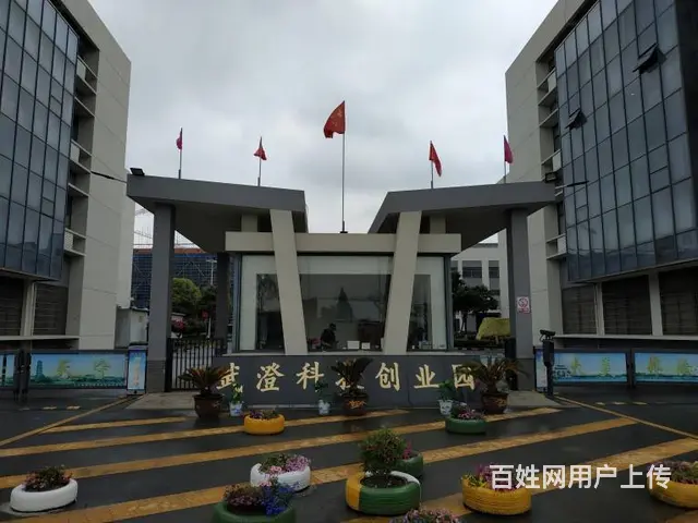 出租常州天宁郑陆焦溪三河口武澄工业园200-600平厂房 - 图片 3