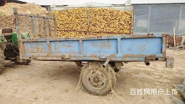 慢售 - 图片 6