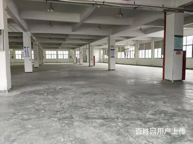 临安天目山镇7500方厂房出租（可分租） - 图片 5
