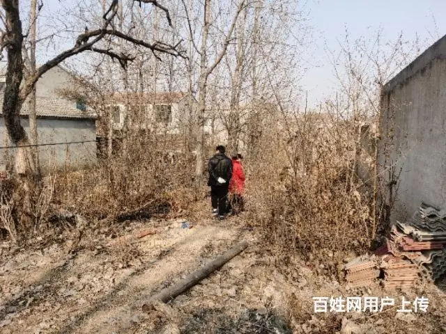 大彭镇闸口村宅基地8万330平 - 图片 1