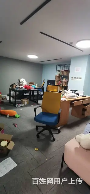 特价出租，新加坡科技园，精装毛坯都有，面积100方起，大小可 - 图片 6