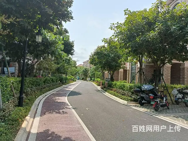 （51旺铺推荐）新埠岛碧桂园半岛南湾和风丽湾400平4层别墅 - 图片 12