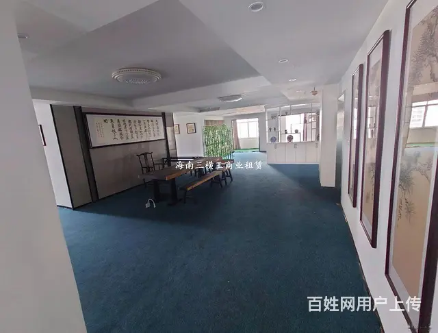 （三横王）龙昆南，海师对面422平精装出租 - 图片 6