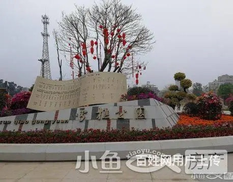 同安BRT枢纽站、同安乐海城市广场旁  单身公寓 - 图片 6