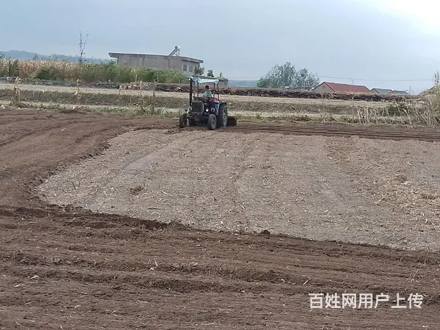 出售 - 图片 4