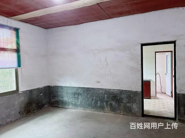 （老板本人）望城金洲大道附近独门独院厂房带场地出租 6515 - 图片 8